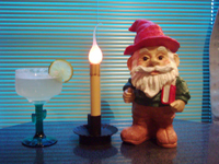 Line Dancing DJ Gnome